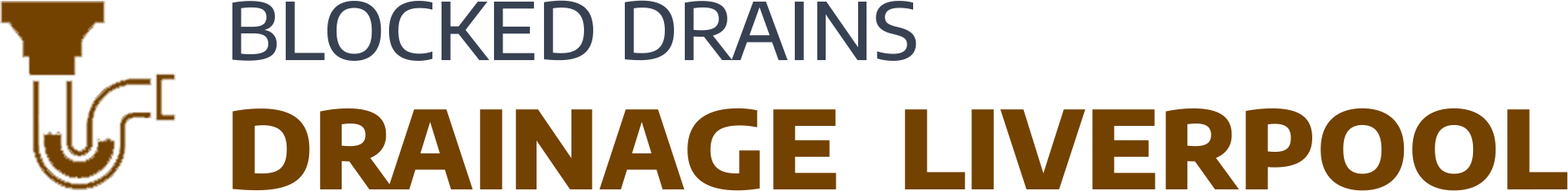 website logo